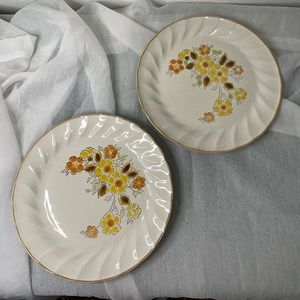 Sculptura Hearthside "Gaiety": Dinner Plates  - Set of 2